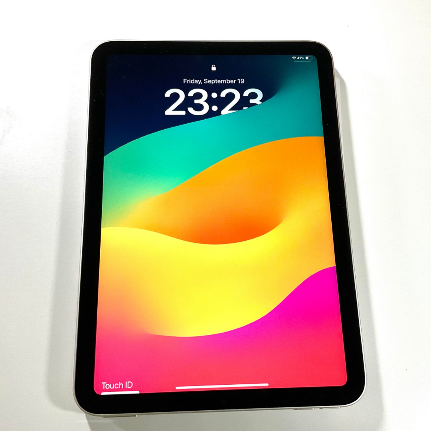 Apple iPad Mini 256 GB at great price - photo 3