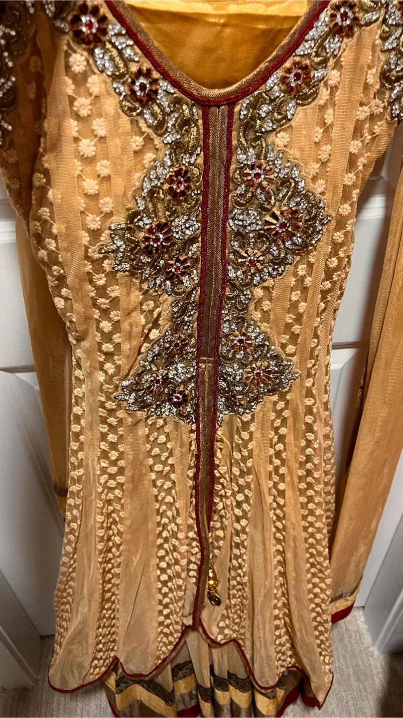 Anarkali (South Asian Dress) image indicator(3)