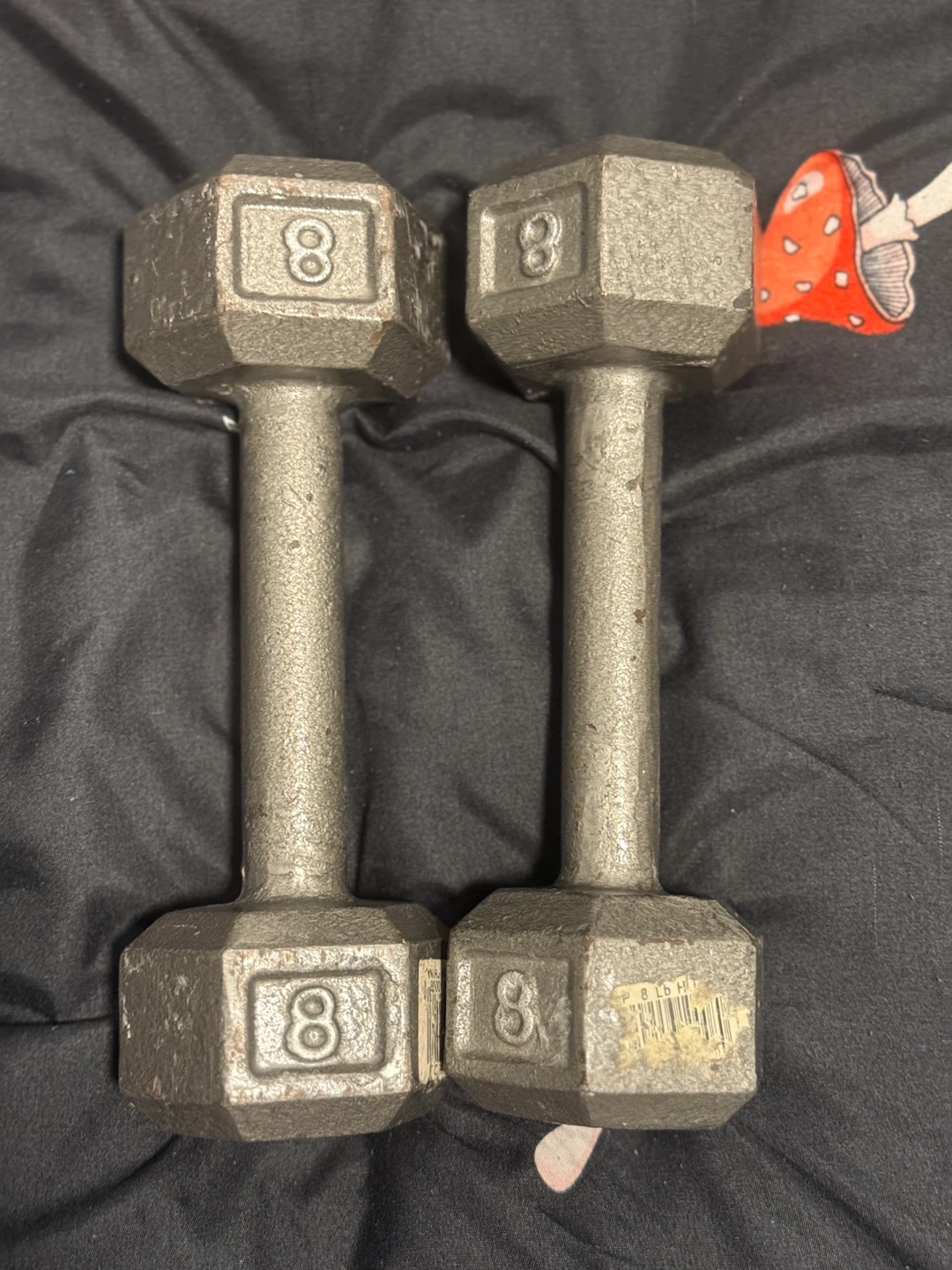 Pair of 8 lb Dumbbells