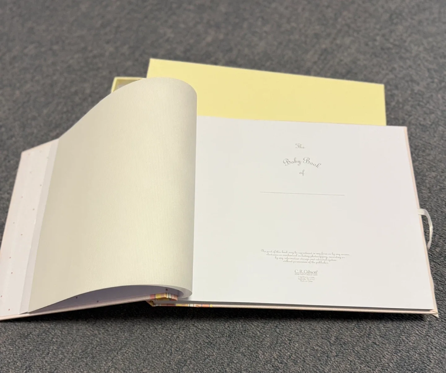 Taggies Bear Stuffed Animal Toy image indicator(9)