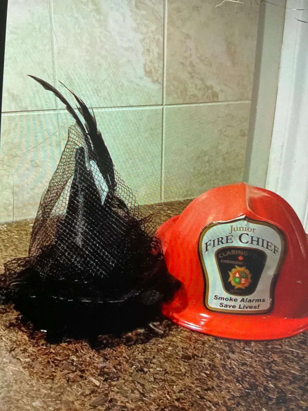 Kids' Witch, Rapunzel, Fire Chief Costumes image indicator(4)