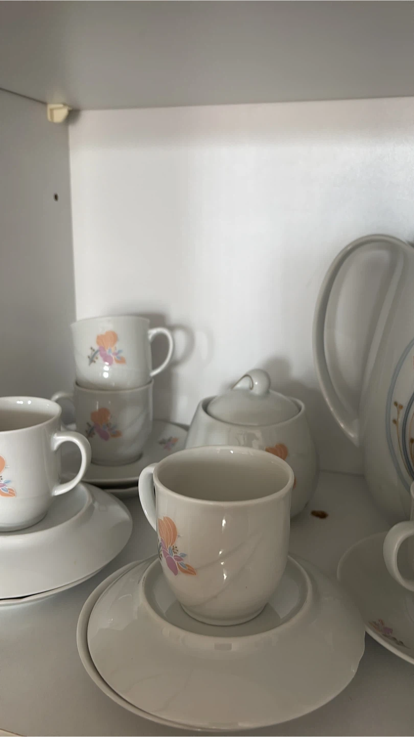 Vohenstrauss Johann Seltmann Bavaria Tea Set
