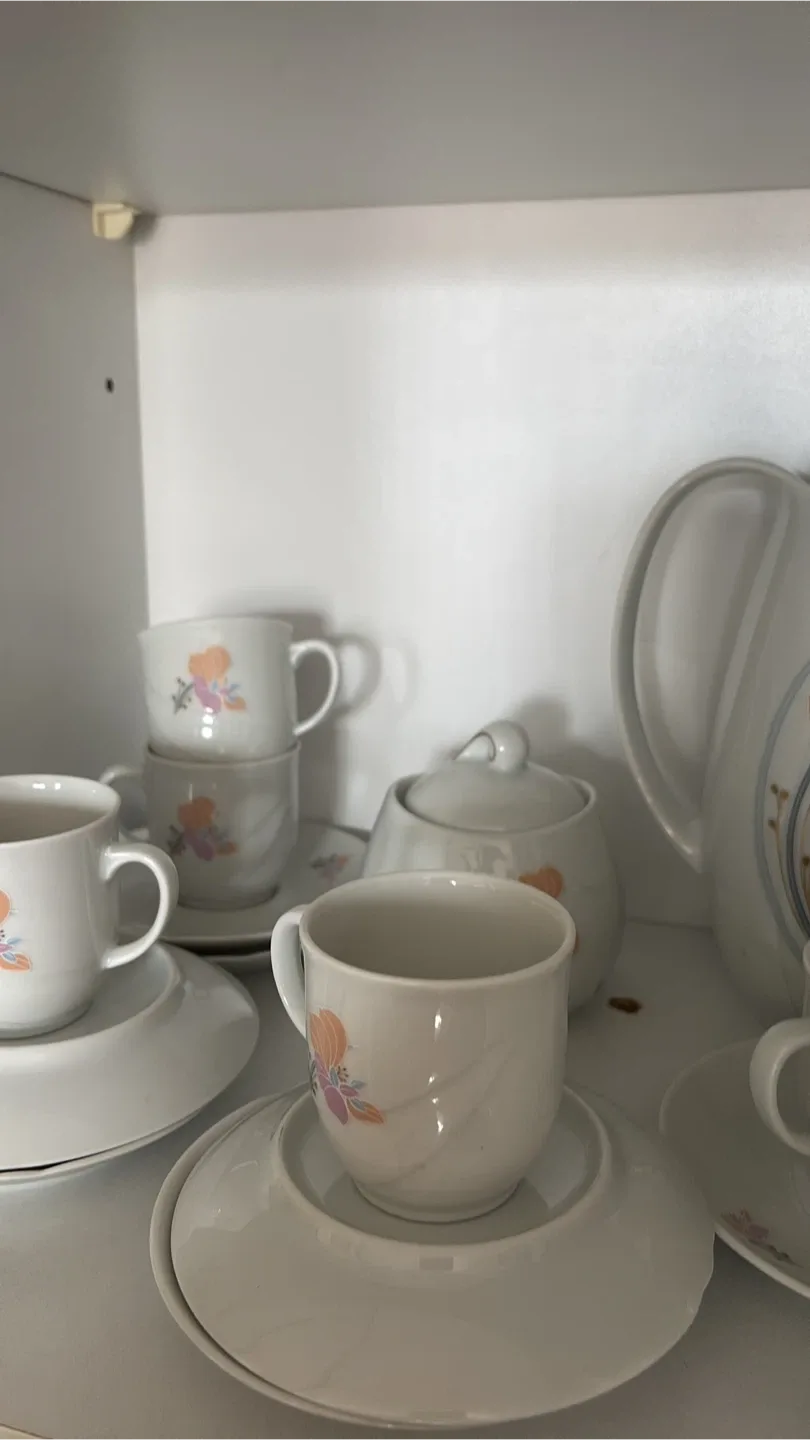 Vohenstrauss Johann Seltmann Bavaria Tea Set