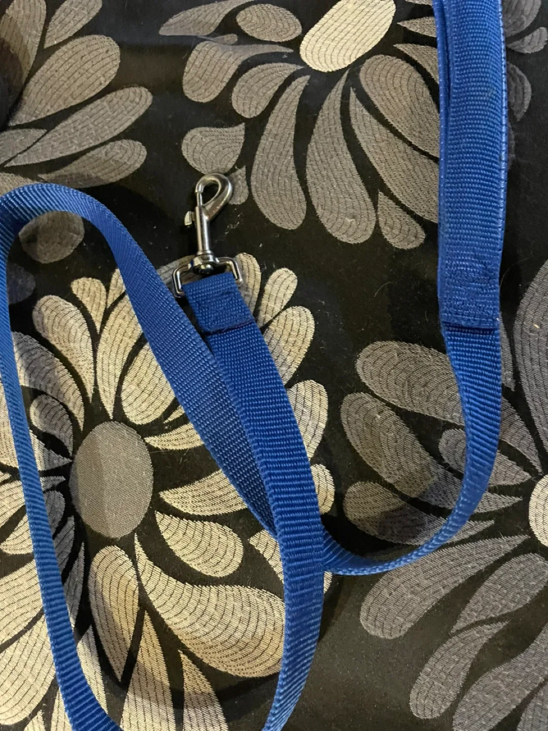 Dog Bundle Deal image indicator(3)