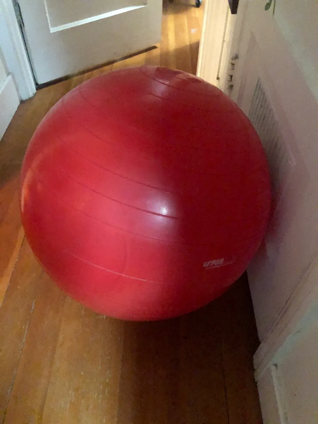Red Exercise Ball. thumbnail