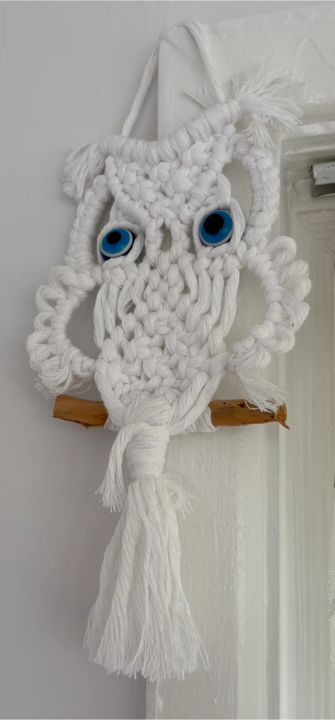 Hand Made Macrame Owl Wall Hanging Decor - photo 2