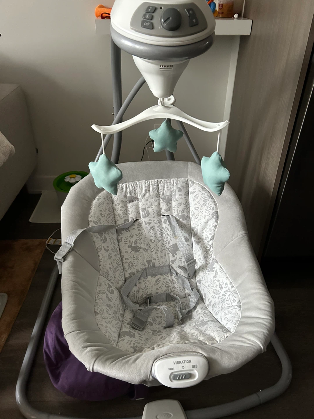 Graco Baby Swing
