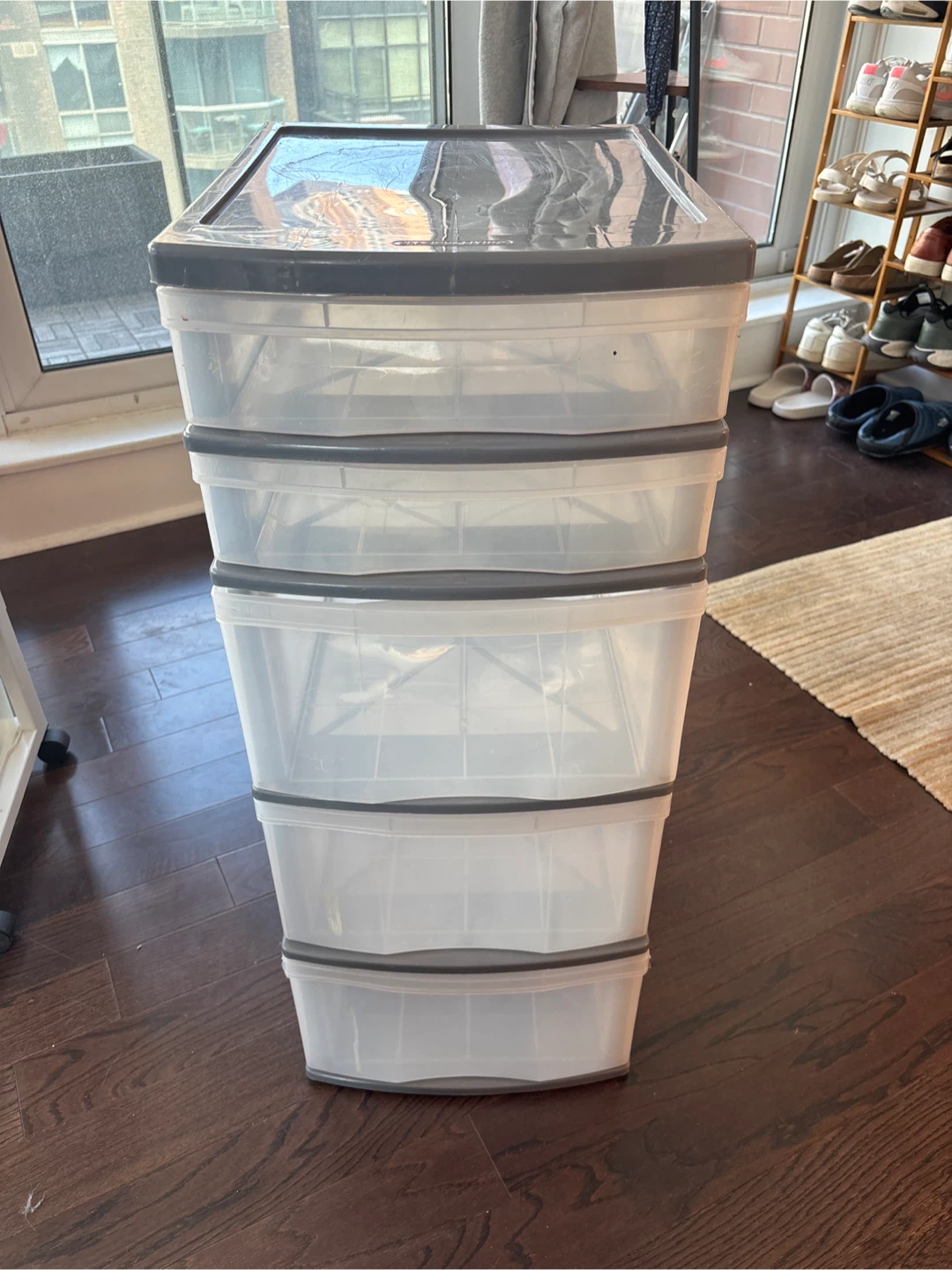 5-drawer plastic organizer
