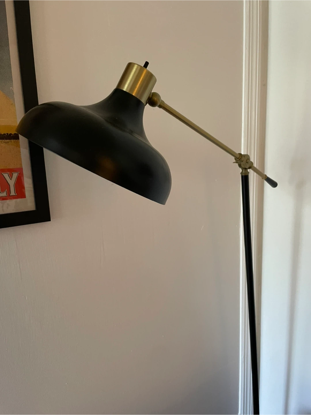 Black & Brass Floor Lamp