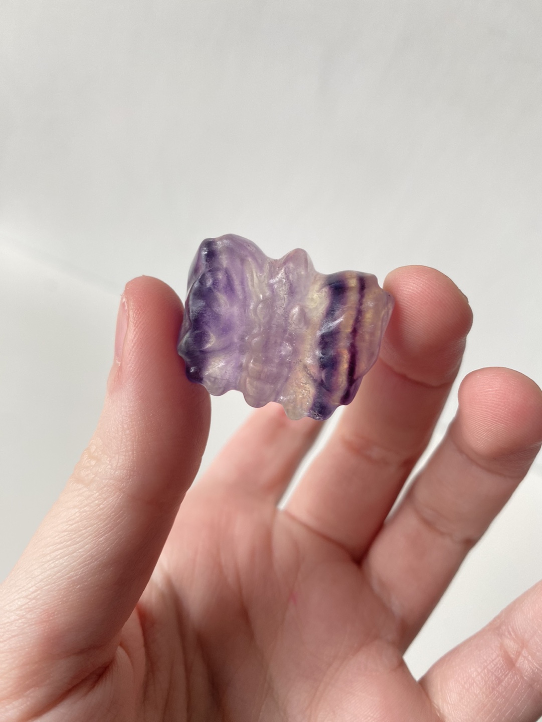 Fluorite Butterfly - photo 3