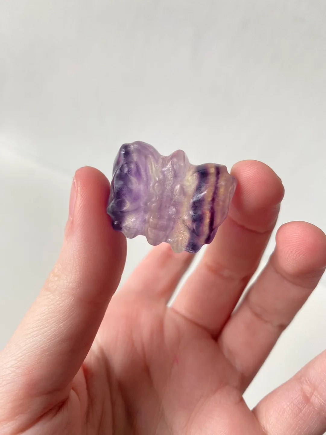 Fluorite Butterfly image indicator(3)