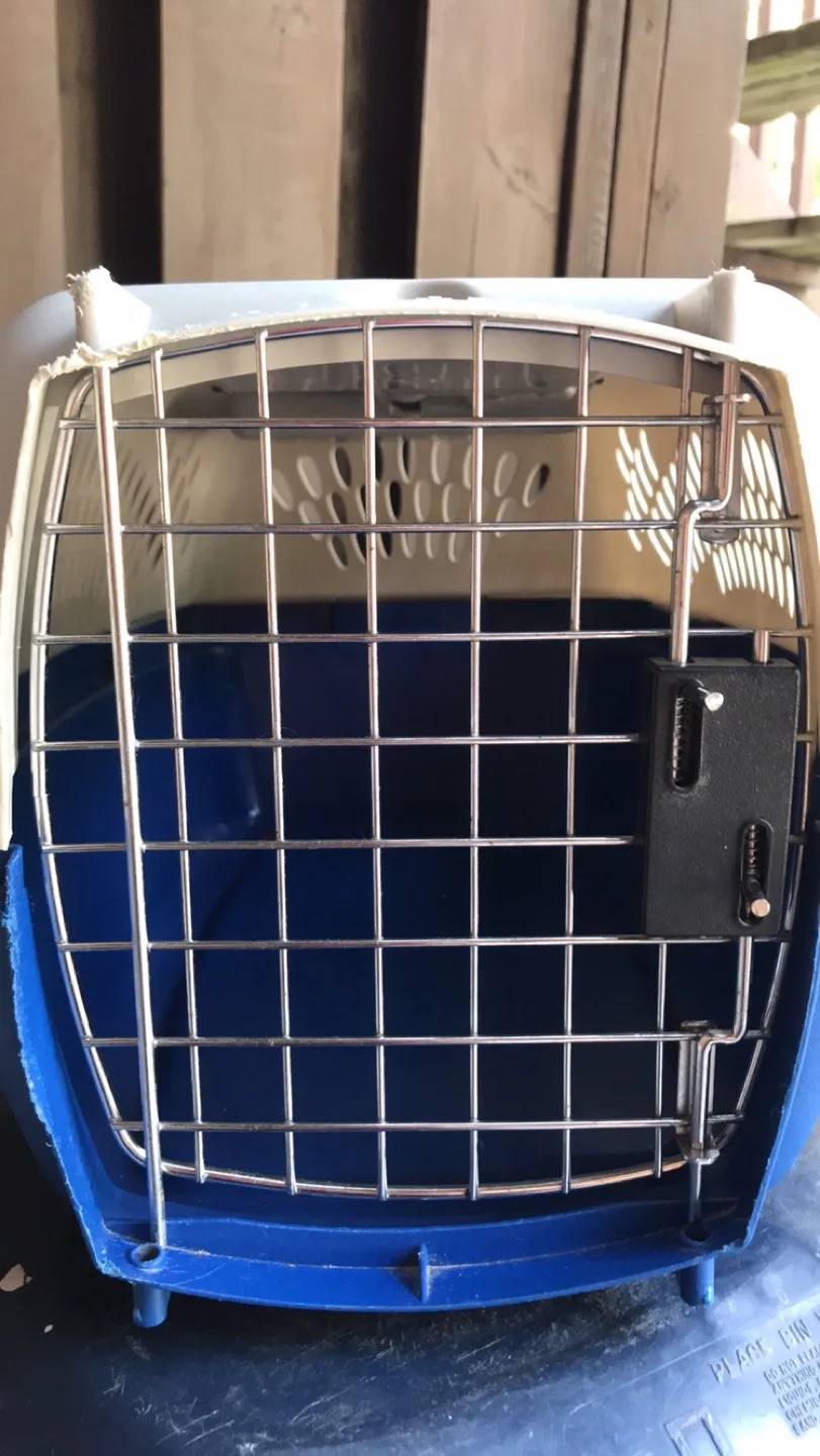 Petmate Pet Taxi Carrier thumbnail
