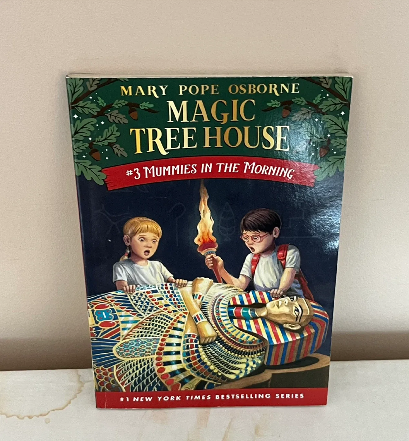 Kids 9+ chapter books thumbnail