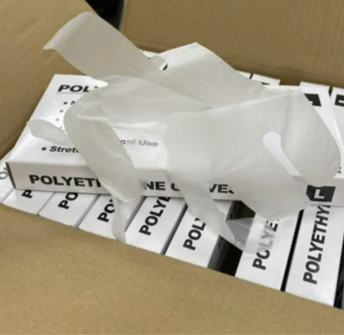 Polyethylene Gloves XL - Latex Free