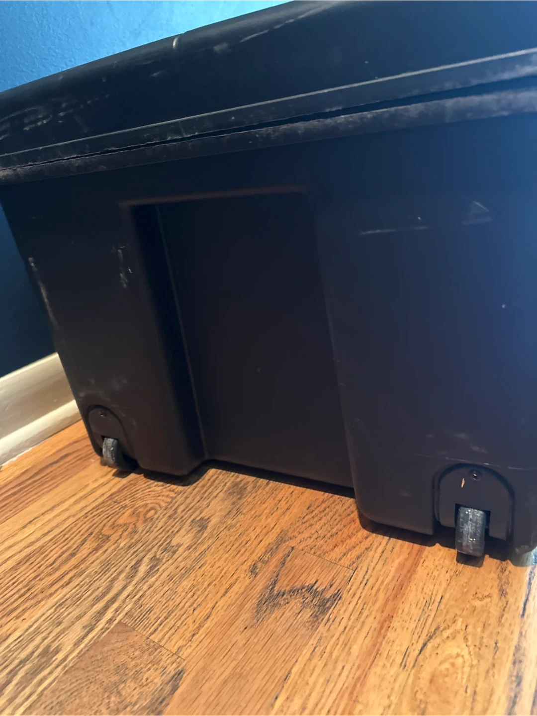 Contico Black Trunk - photo 5