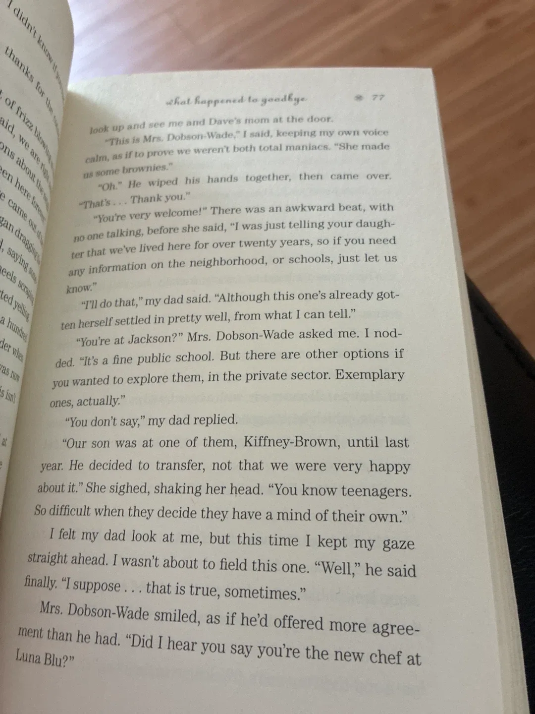 Sarah Dessen: What Happened to Goodbye image indicator(3)