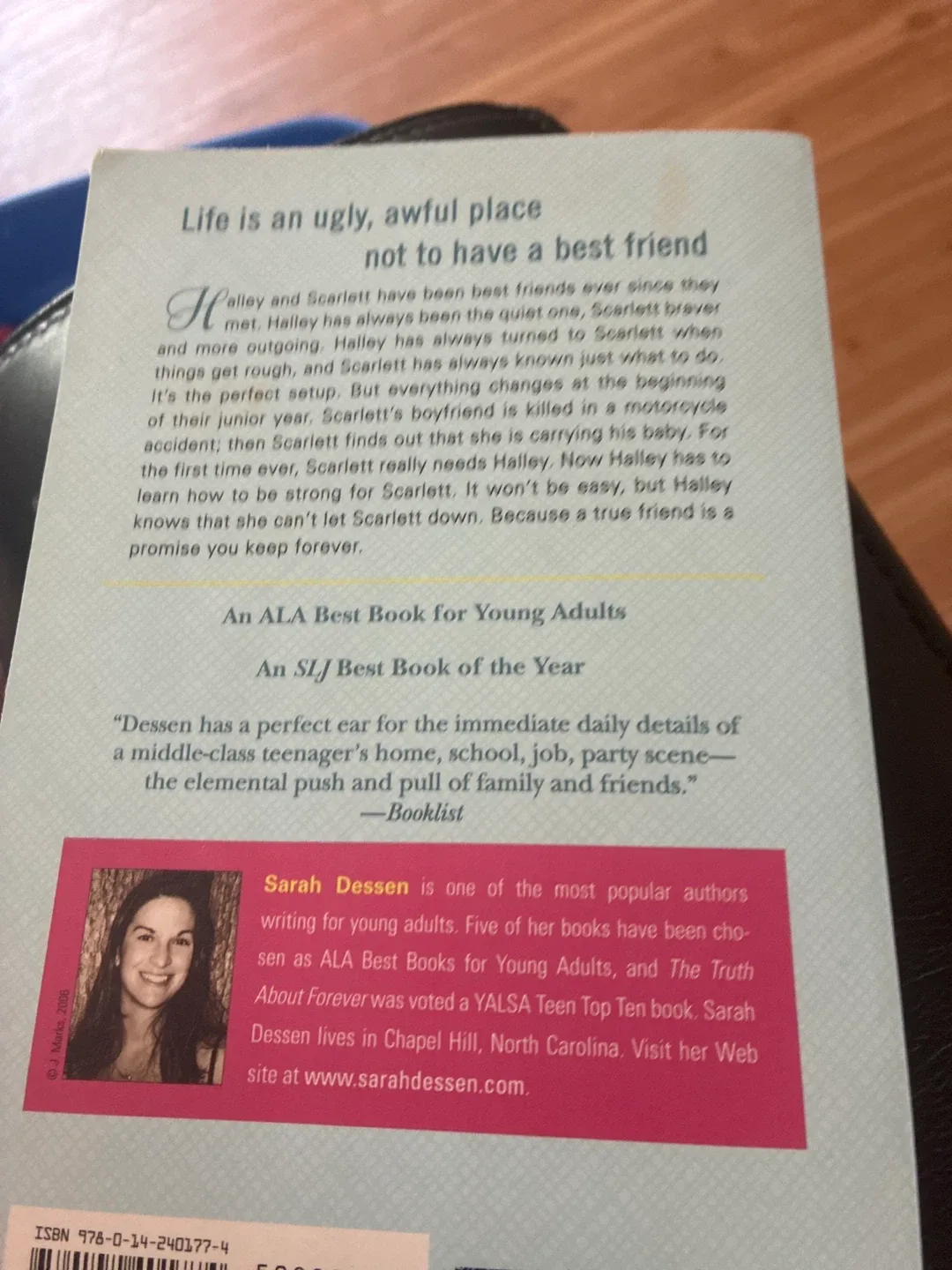 Someone Like You by Sarah Dessen image indicator(3)