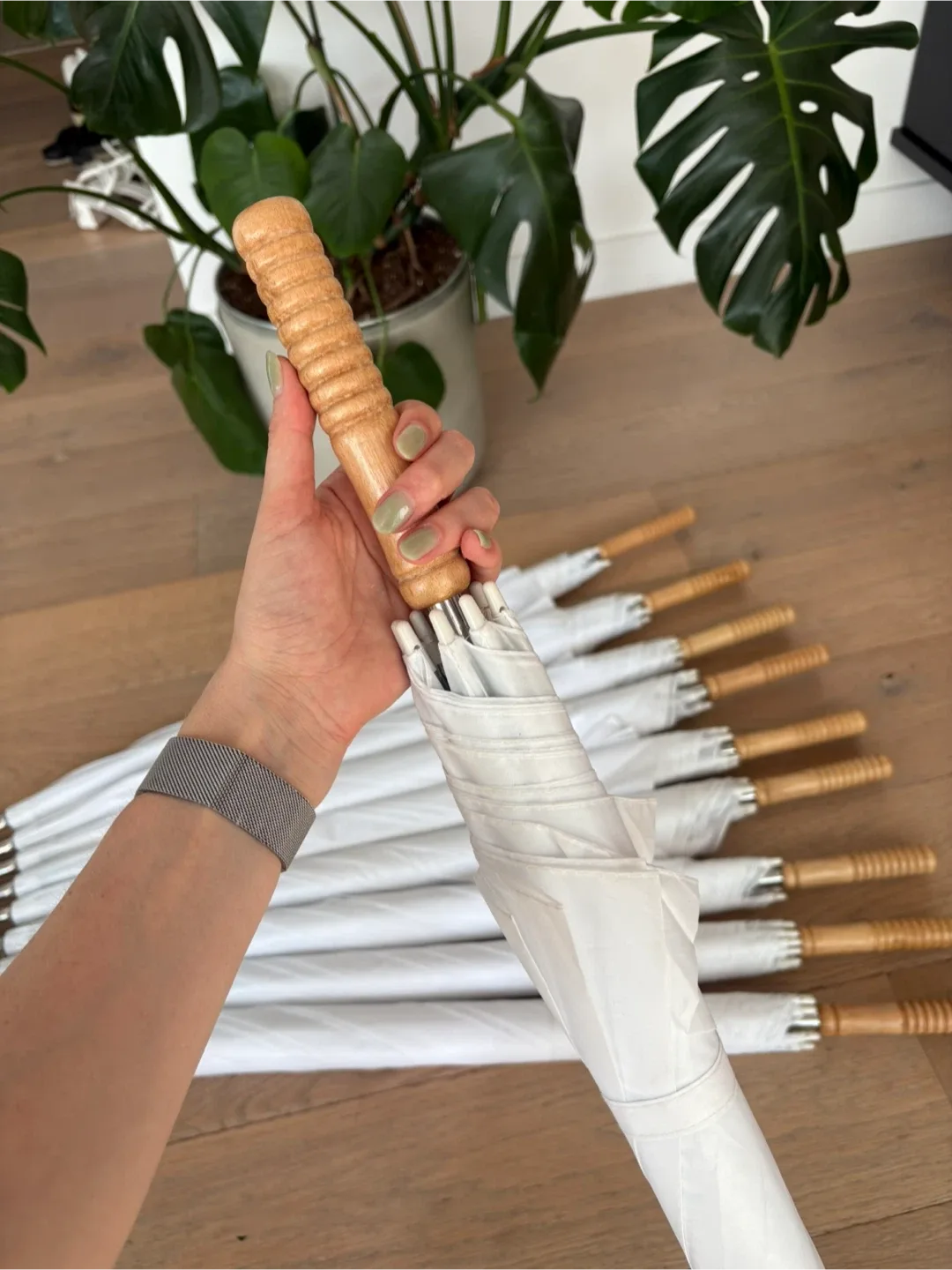 White Umbrellas with Wooden Handle x10 image indicator(6)