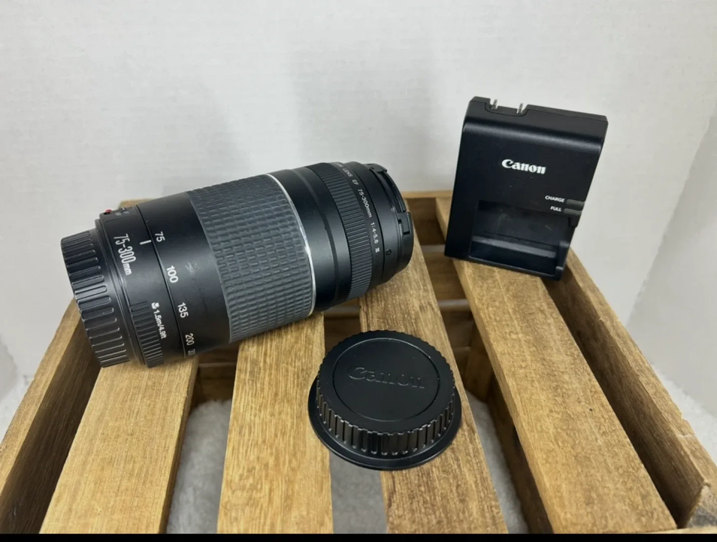 Canon EOS Rebel T6i Camera with EF 75-300mm Lens image indicator(5)