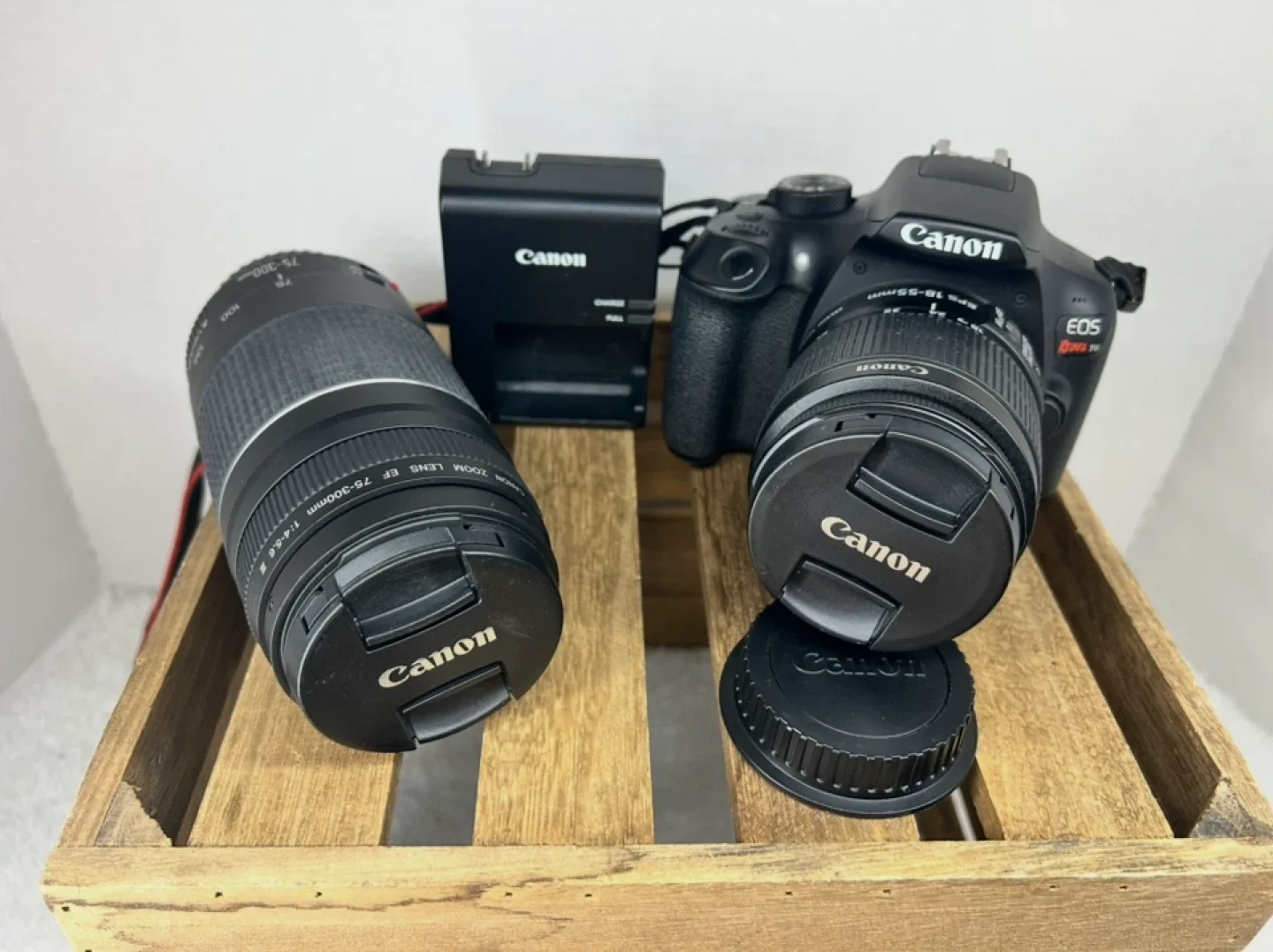 Canon EOS Rebel T6i Camera with EF 75-300mm Lens image indicator(3)