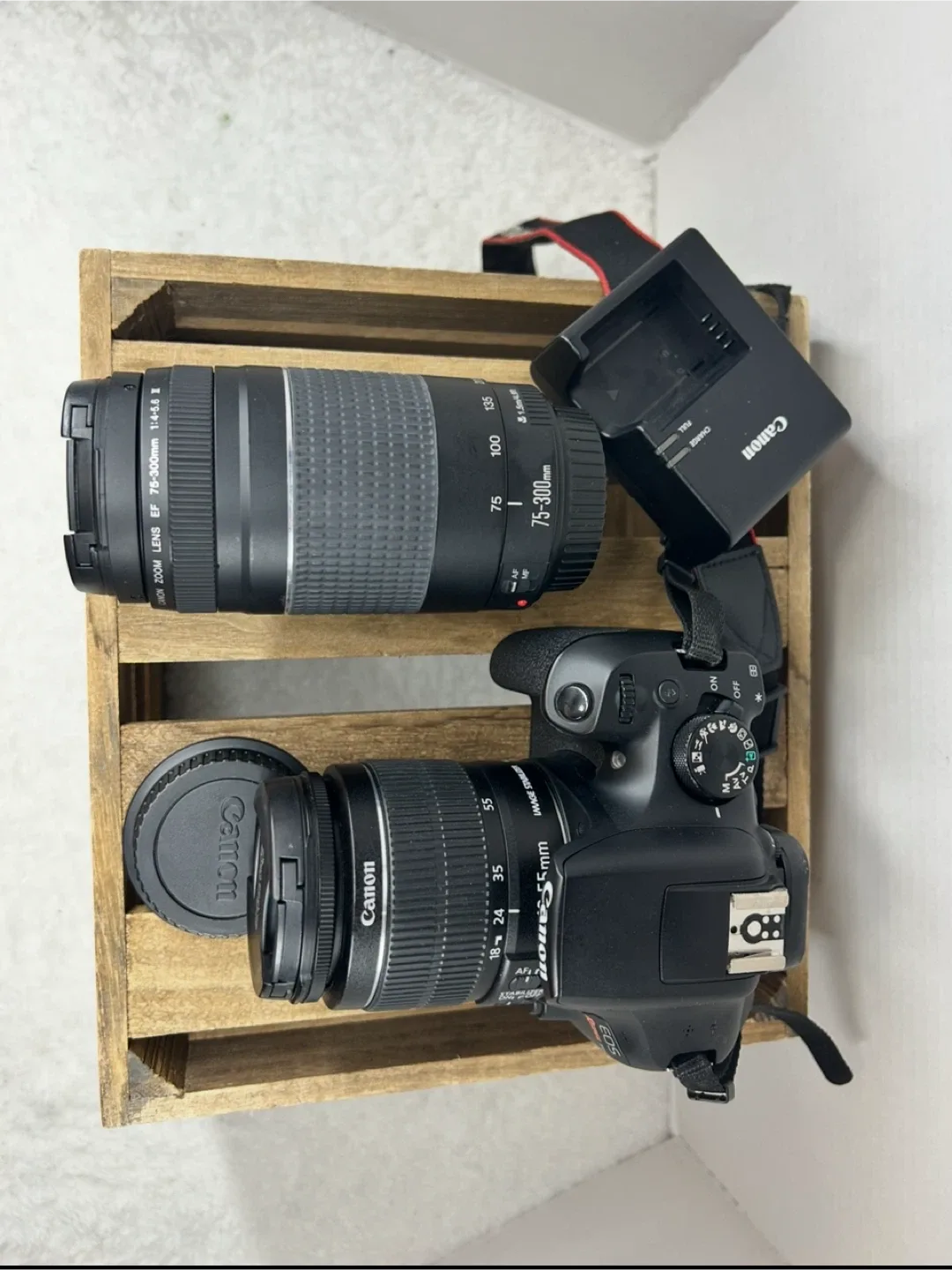 Canon EOS Rebel T6i Camera with EF 75-300mm Lens image indicator(2)