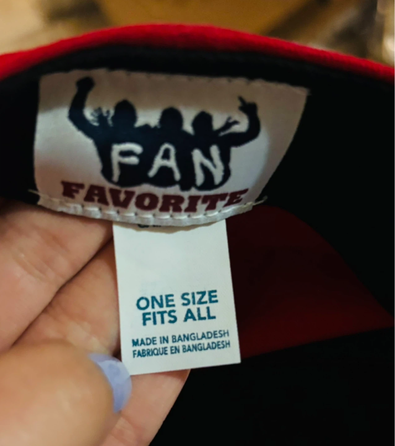 Toronto Raptors Fan Favorite Cap - One Size - photo 3