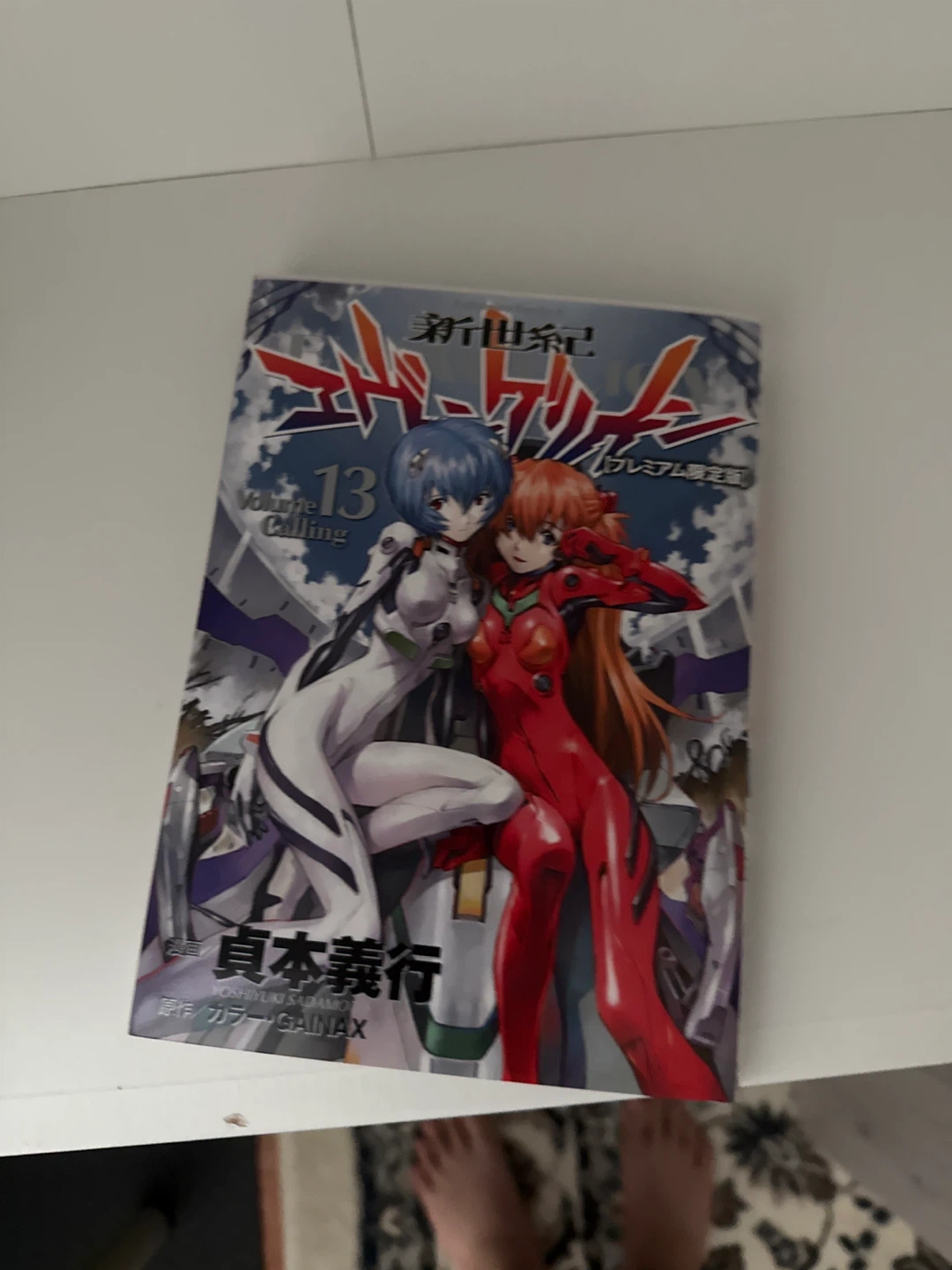 Neon Genesis Evangelion Vol. 13(Japanese ver