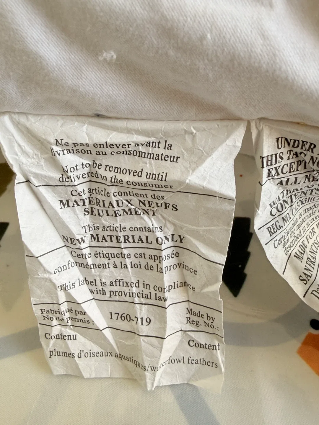 Pillow Insert West Elm 20"x20" Decorative image indicator(5)