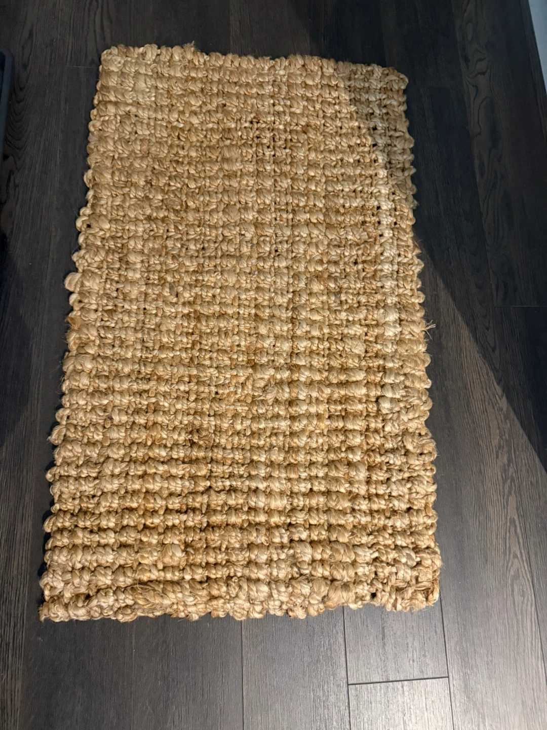 Natural Jute Rug 18x30 in