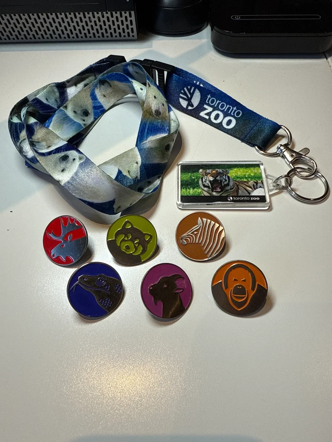 Toronto Zoo Lanyard, Keychain & Pins thumbnail