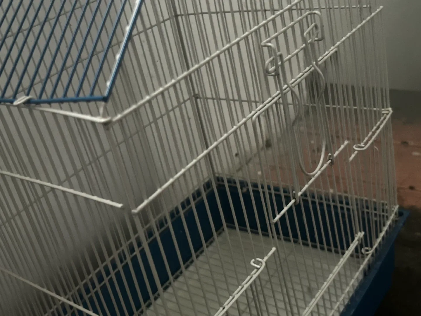 Blue and White Bird Cage image indicator(3)