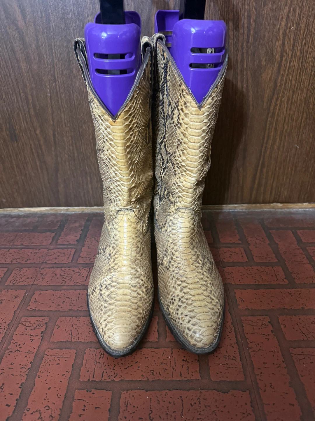 Python skin cowboy boots