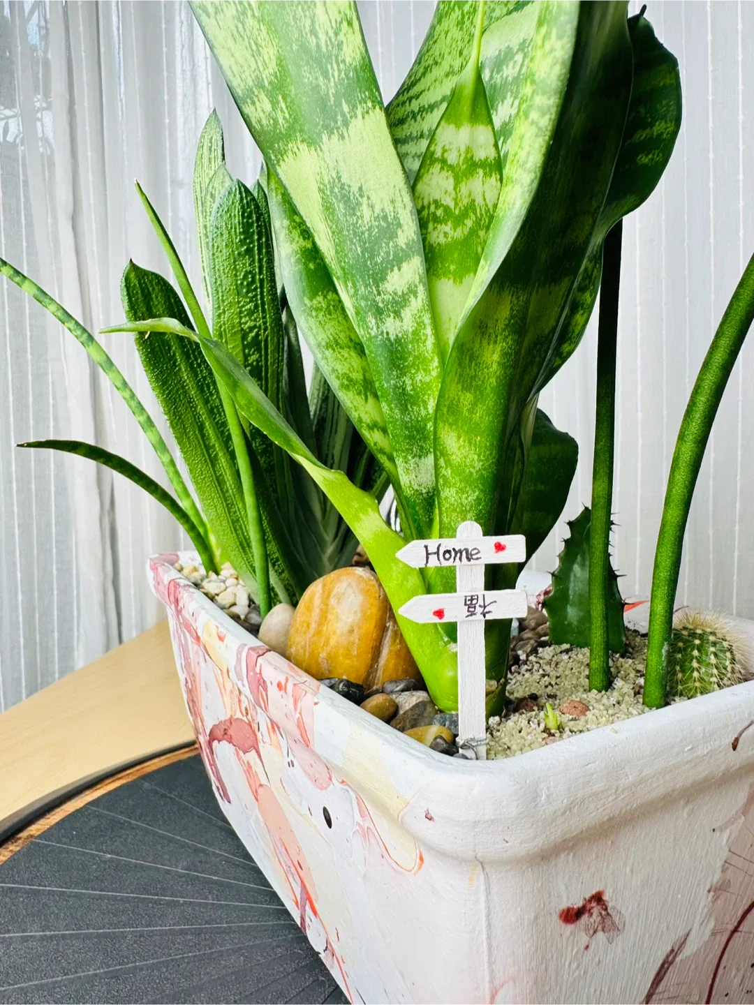 Super low maintenance Plant Arrangement image indicator(4)