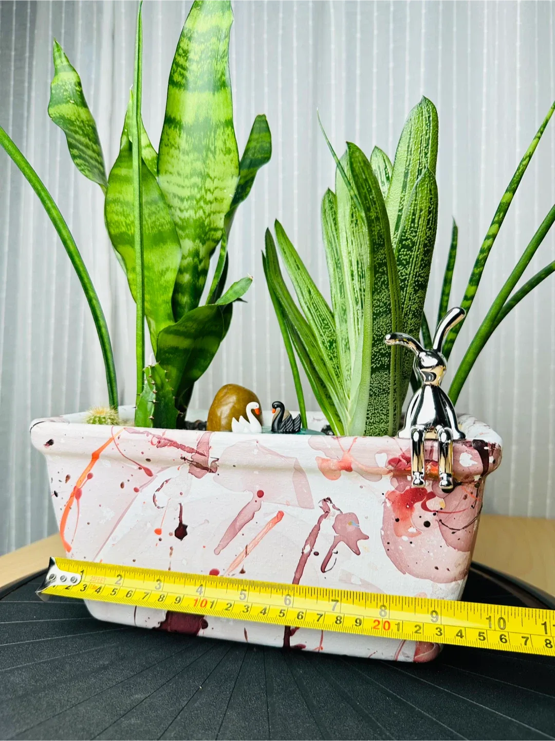 Super low maintenance Plant Arrangement image indicator(8)