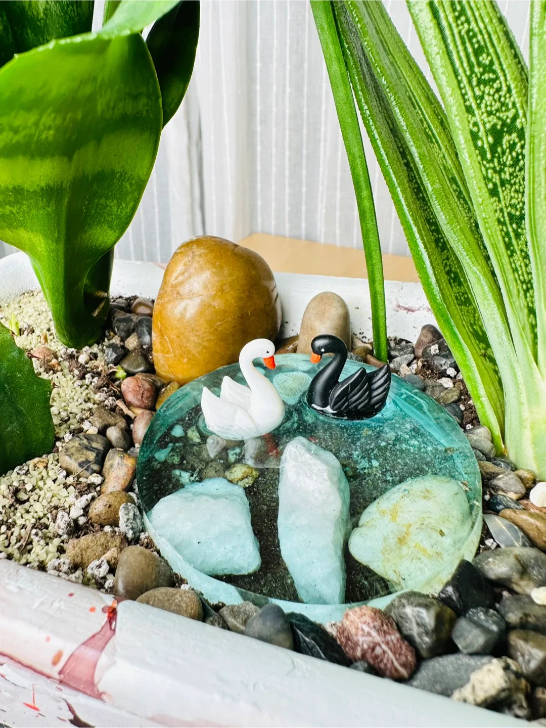 Super low maintenance Plant Arrangement image indicator(3)