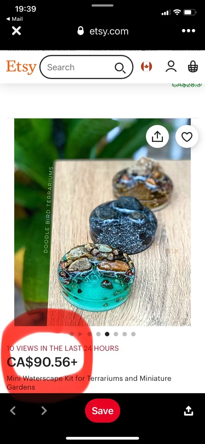 Super low maintenance Plant Arrangement image indicator(10)