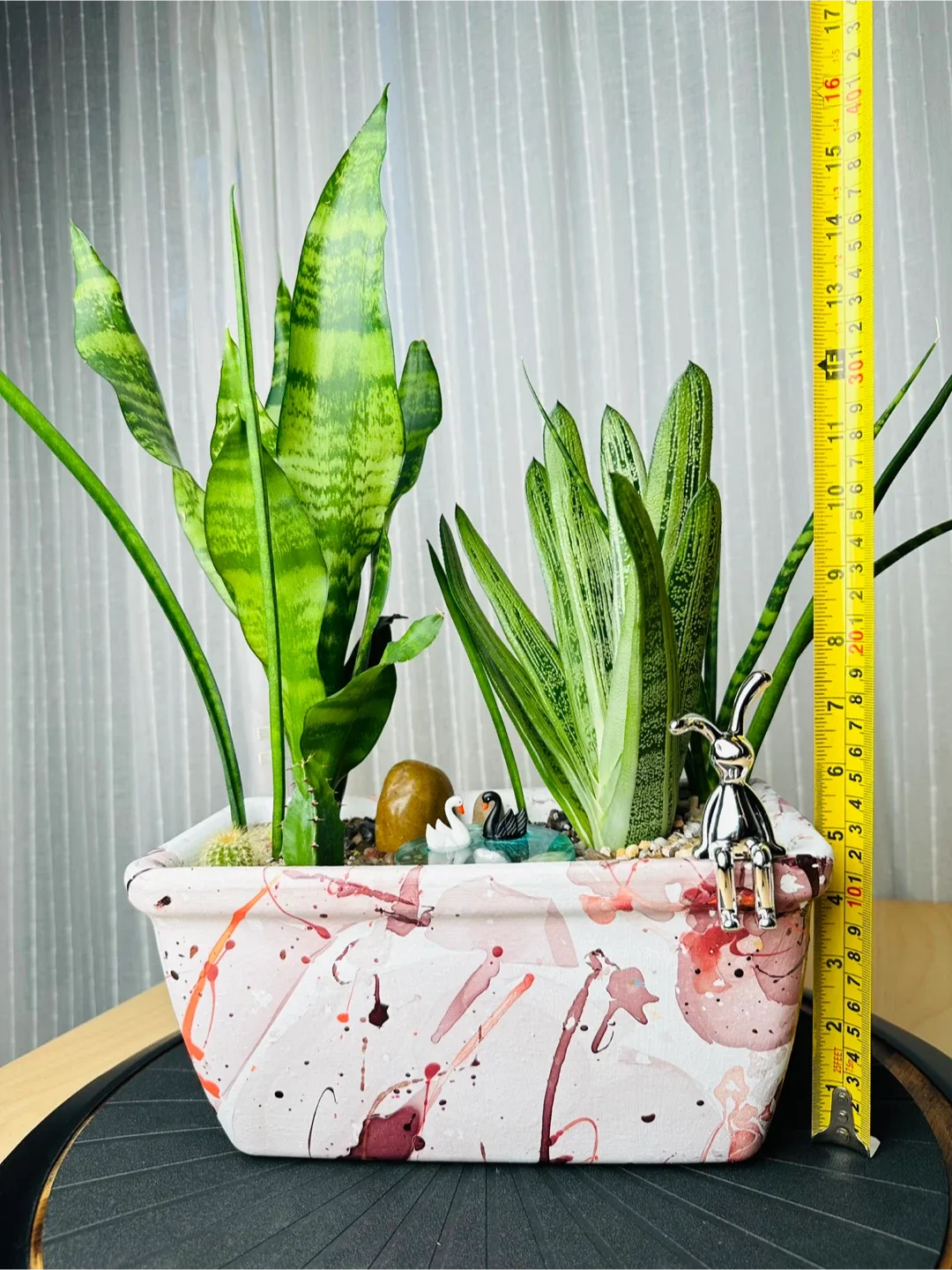 Super low maintenance Plant Arrangement image indicator(9)