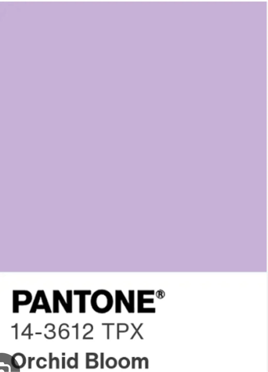 New RIMOWA Orchid Bloom Vanity Case image indicator(4)