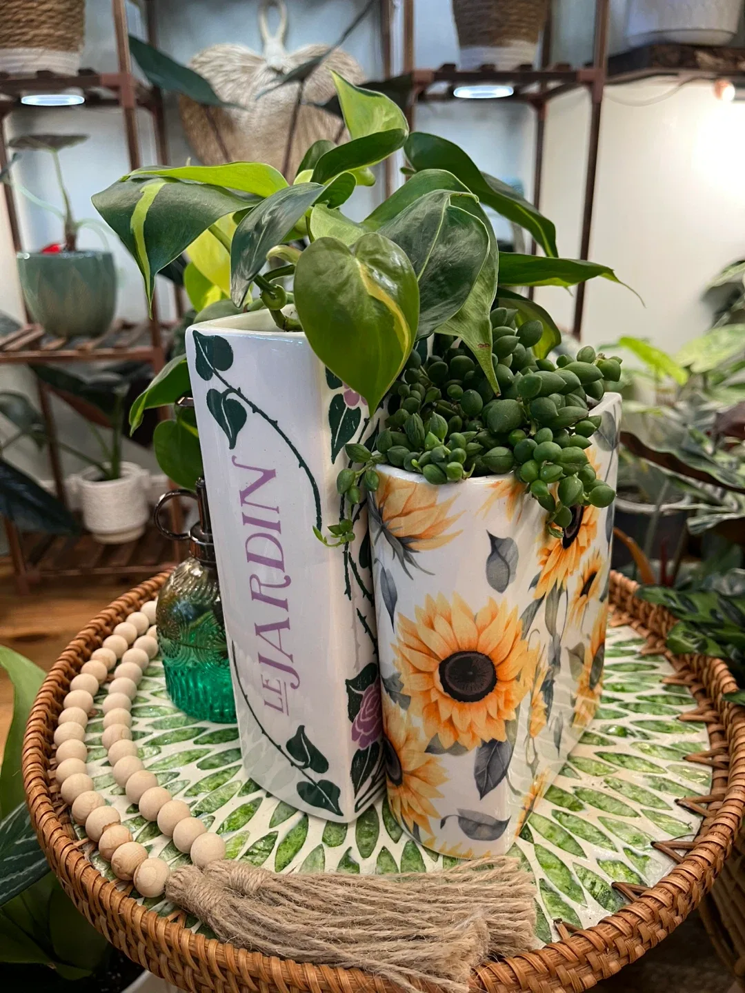 Le Jardin & Sunflower Book Planter Set thumbnail