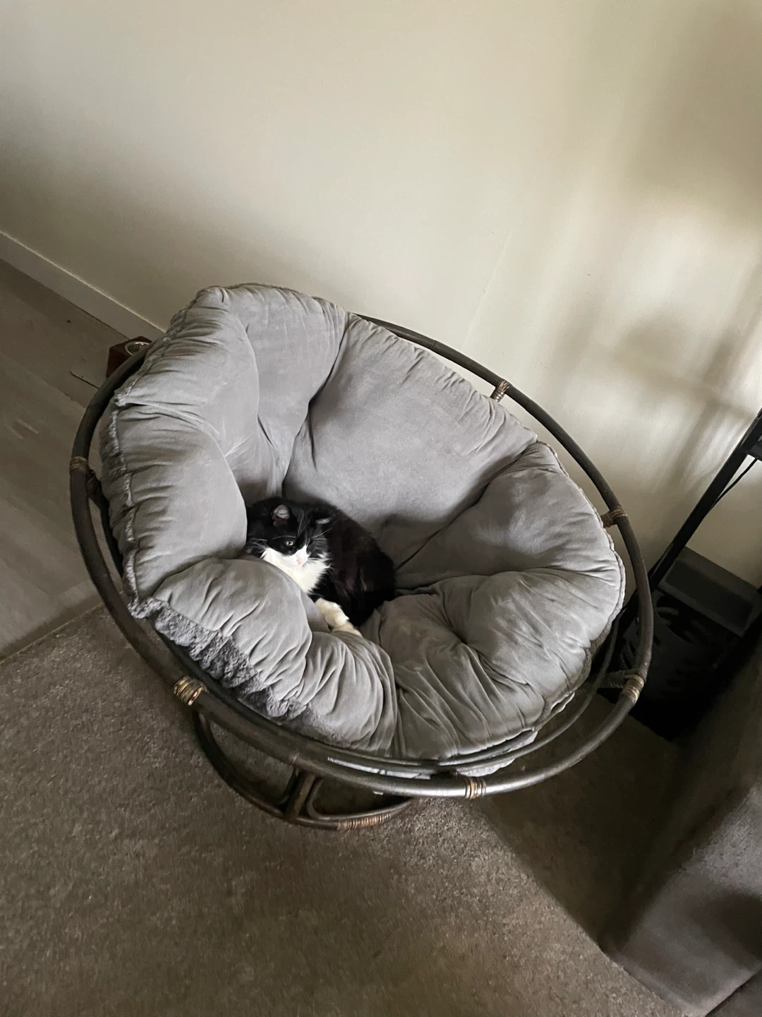 Papasan Chair - Grey