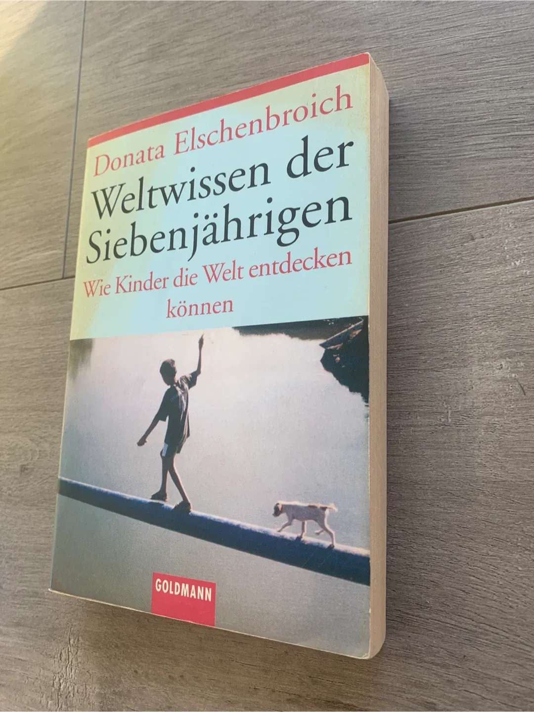 Weltwissen der Siebenjährigen by Donata Elschenbroich image indicator(2)