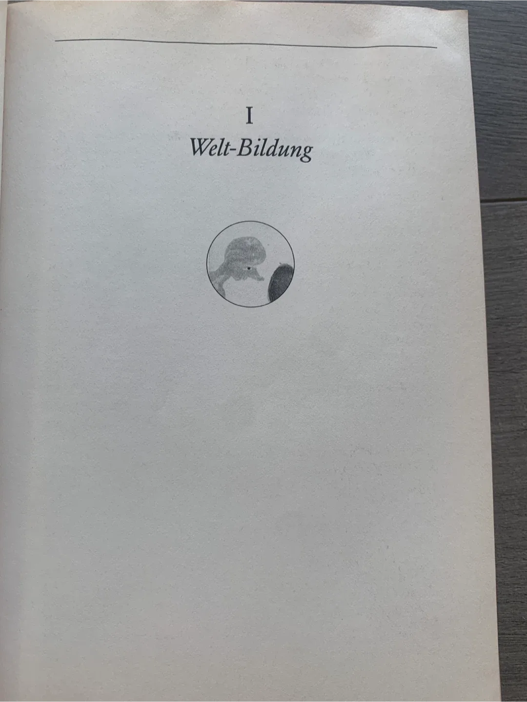 Weltwissen der Siebenjährigen by Donata Elschenbroich image indicator(7)