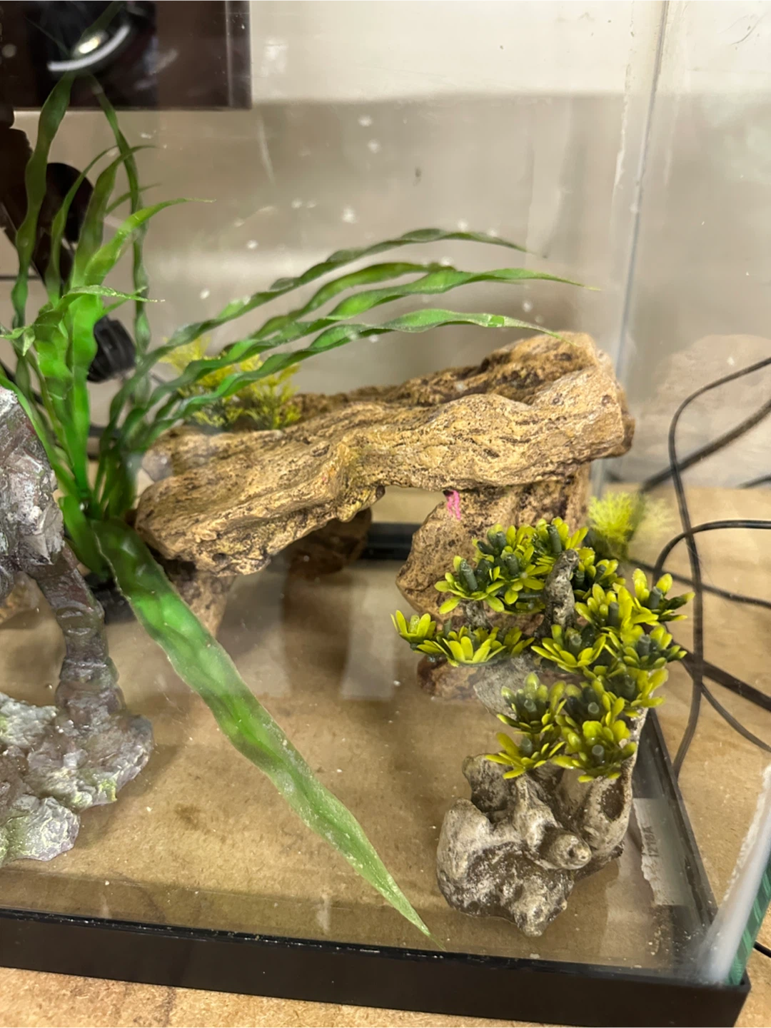 Aquarium Fish Tank - photo 3