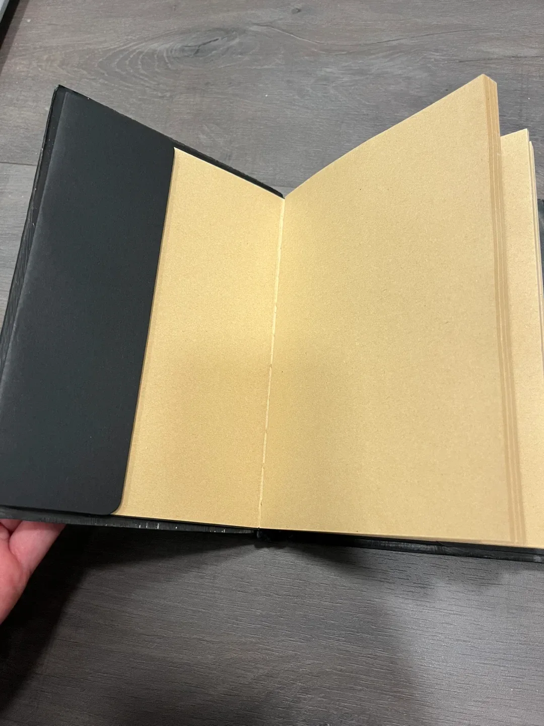 Red Dragon Eye Journal image indicator(3)