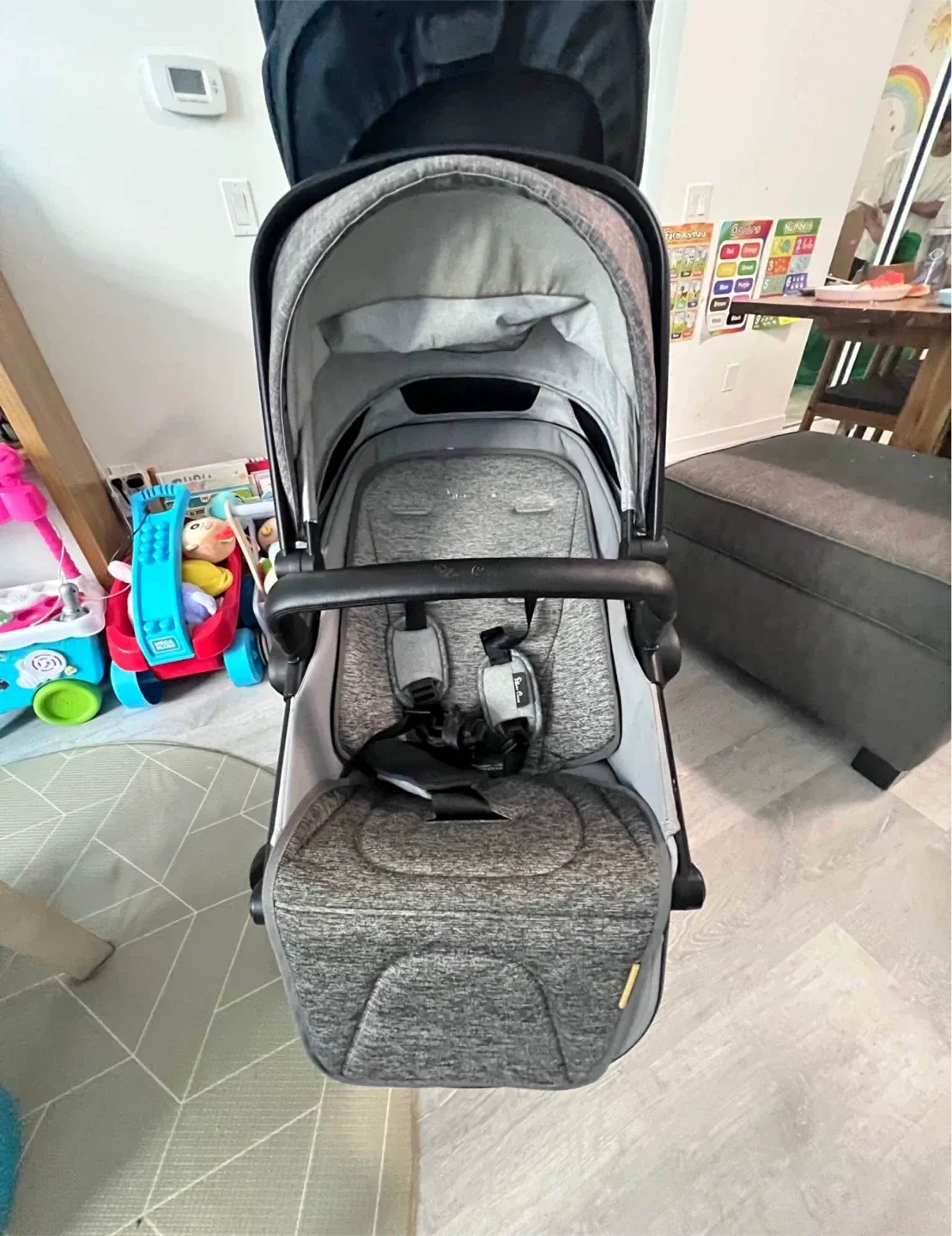 Silver Cross Coast Stroller Double image indicator(2)