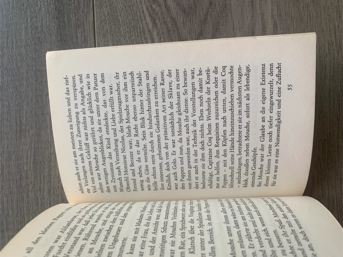 Kleine Mouche by Paul Gallico Taschenbuch image indicator(8)