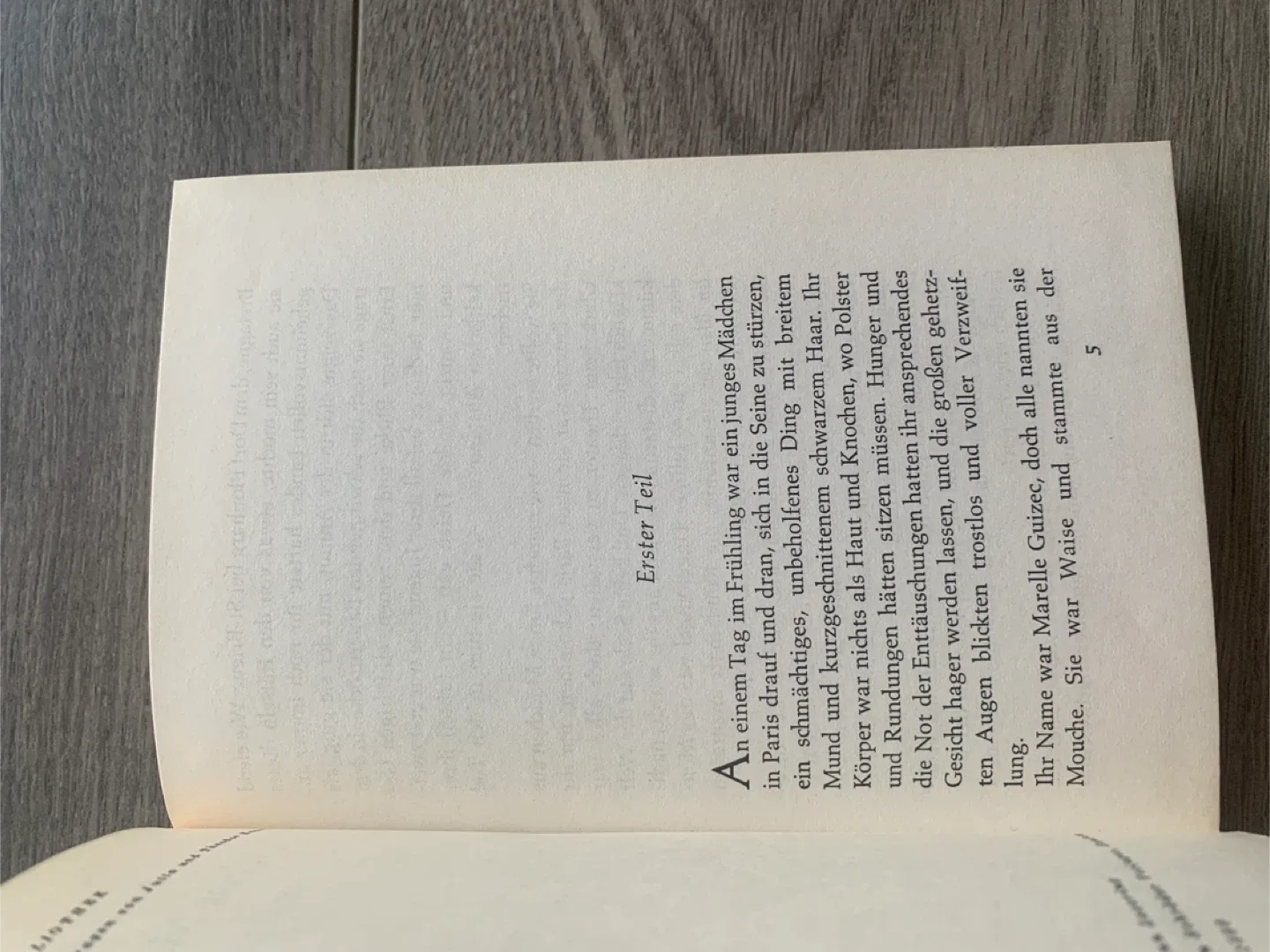 Kleine Mouche by Paul Gallico Taschenbuch image indicator(7)