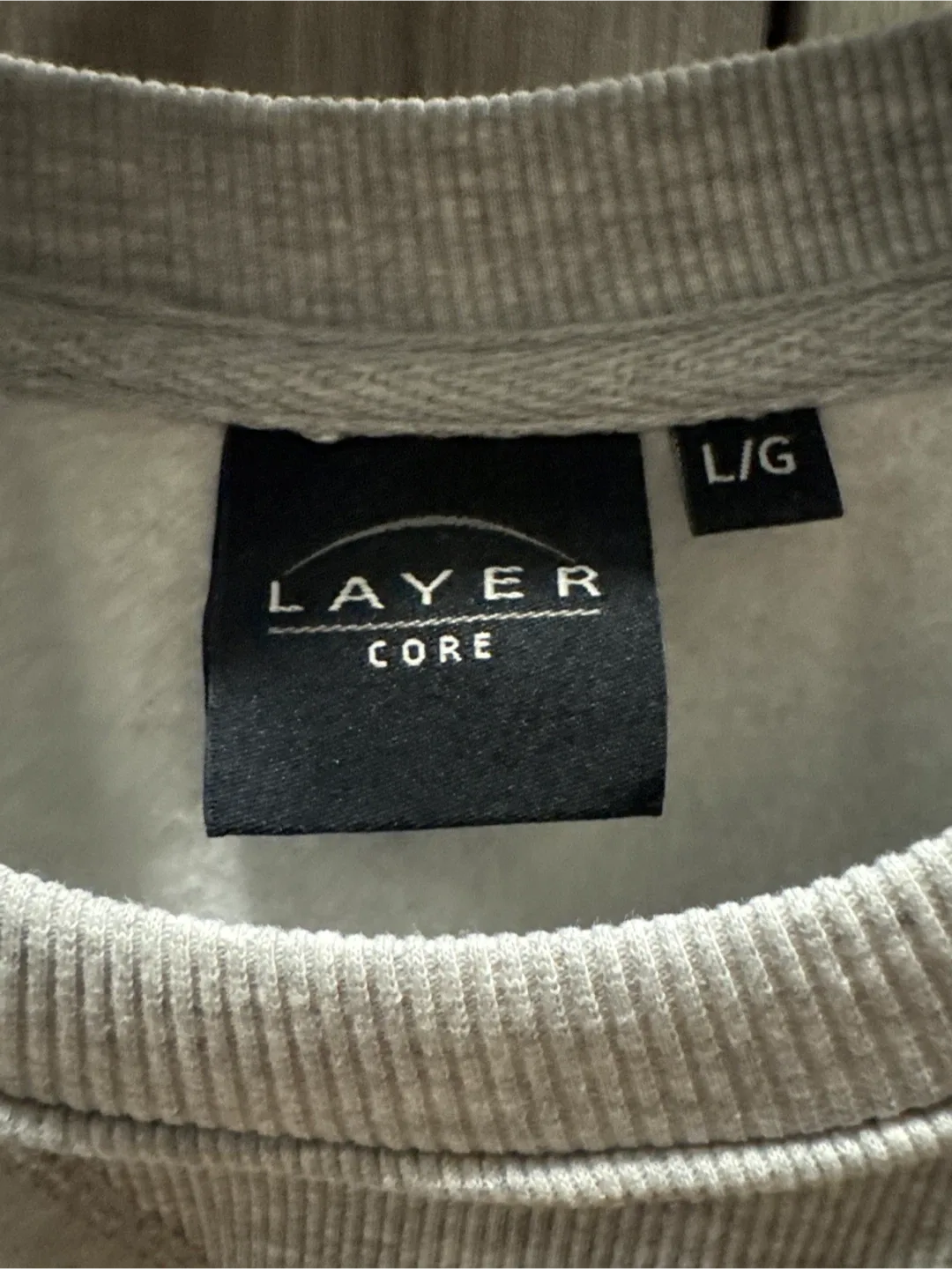 University of Toronto Crewneck - Layer Core, Size L image indicator(3)