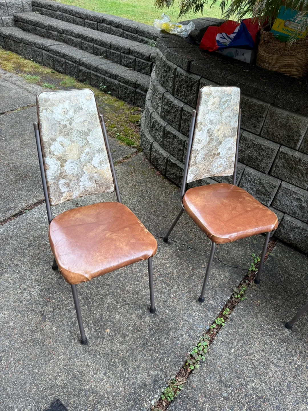 Vintage Dining Chairs - Set of 5 image indicator(4)