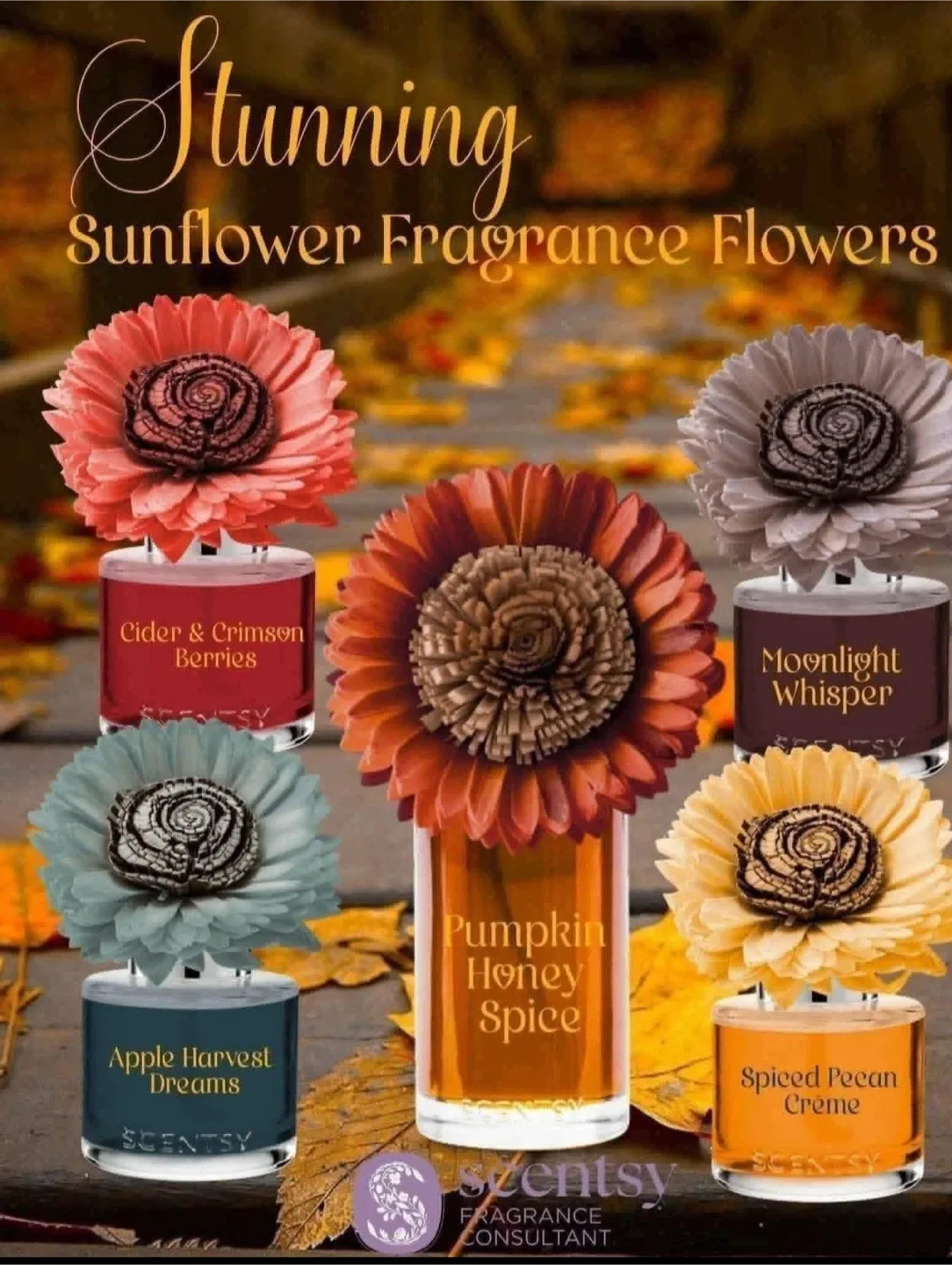 Scentsy Sunflower Scentsy Flowers thumbnail